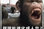 黑人类人猿，黑人是猿人吗