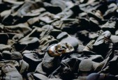 世界前十死亡禁地排名榜？世界前十死亡禁区？