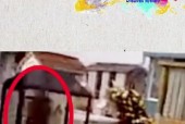 奇闻轶事和奇闻异事，奇闻轶事和奇闻异事有什么区别?