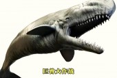 巨齿鲨vs利维坦鲸？巨齿鲨vs利维坦鲸谁会赢？