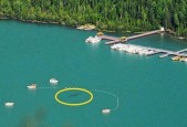 喀纳斯湖水怪真相，喀纳斯湖水怪真相全集视频？