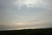 招远未来30天天气，招远30天天气查询