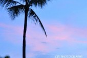 世界天气预报30天？今天世界天气预报？