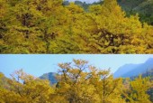 下载双牌县天气预报，双牌天气双牌天气