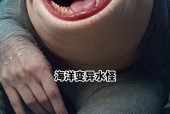 湖泊拍到水怪的照片，水怪现身湖面被拍到