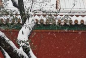 北京未来二十天天气，北京2o天天气预报