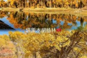 轮台天气预报穿什么，轮台天气预报15天查询