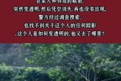震惊中国前十灵异事件视频，中国的灵异事件视频大全？