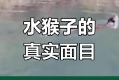 中国水怪水猴子，水怪水猴子大结局香兰？