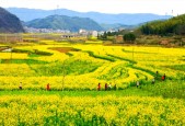 通城天气预报60天，通城天气30天？