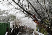 贵州省黔南天气预报，贵州黔南 天气