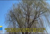 洞头6月份天气预报，洞头历史天气查询九月份