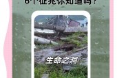 汶川地震4种异常现象，汶川地震前,被忽视的4个异象,科学至今无法解释!？