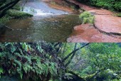 查一下邛崃天气预报，下载邛崃天气预报