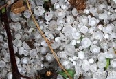 云南昭通市天气预报？昭通天气查询？