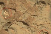 外星人真正的样子？外星人真正的样子吓人？