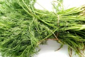 江西南昌地方美食特产？江西南昌的美食特产？