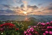 大方县实时天气预报，大方县天气预报7天？