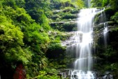 碧峰峡本周天气预报？碧峰峡本周天气预报实况？