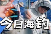 浙江省嘉兴海盐天气，嘉兴诲盐天气