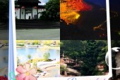 江津东胜镇天气预报？江津东胜天气实时天气？