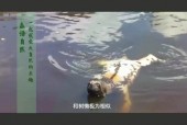 水猴子长什么样？水猴子长什么样子？