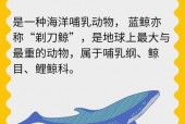 世界上最大的睾丸有多重，世界上最大睾丸得男人的名字？