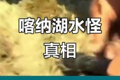 喀纳斯湖水怪完整版视频解密，喀纳斯湖水怪视频完整版央视网