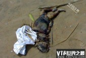 水猴子图片水鬼，水猴子图片真实图片