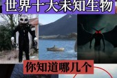 尼斯湖水怪尸骨，34204520