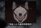 最恐怖的微笑狗？恐怖微笑的狗s？
