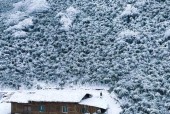 重庆金佛山山顶天气？重庆金佛山天气预报30天？