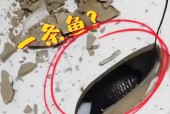 千万不能搜的恐怖图片，千万不能看的恐怖图片？