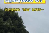 7月15日昆明天气，7月1号昆明天气