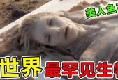 美人鱼的心脏图片，美人鱼拍卖？