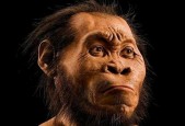 地球上第一个人是谁？地球上第一个人是谁视频？