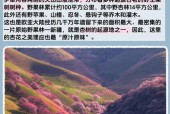 伊宁市历年天气预报，2021年1月伊宁市天气记录表？