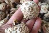 襄阳本地特色美食特产，襄阳特色美食推荐