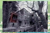 林家宅37号是真的吗？林家宅37号是真的假的？