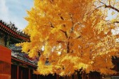 谷城县今天天气预报，谷城县今天天气预报24小时