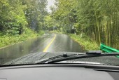湖州7月份天气预报，湖州7月11日天气预报天气情况？