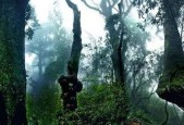 合江县天气预报详情，合江县的天气预报