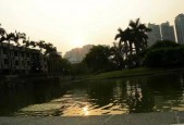 关于深圳大学诡异是否真的的信息