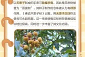 经典鬼故事之槐树？槐树鬼故事郑浩？