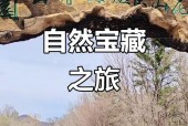 福田莲花山天气预报？91兽王怎么样？