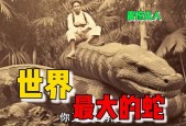 世界上真的有巨蟒蛇吗，世界上有没有蟒蛇存在？