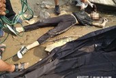 水猴子水鬼抓人视频，水猴视频 水鬼