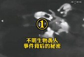 俄罗斯赤塔僵尸事件最新版，俄罗斯赤塔僵尸事件完整视频