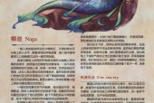 鬼吹灯黑鳞鲛人？黑鳞鲛人真实存在吗？