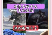 全球前十神秘生物？前十神秘生物 吓人？